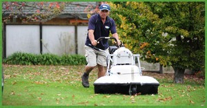 lawn mowing napier